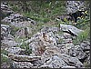 IMG_0120.JPG(114 KB)