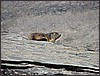 IMG_0190.JPG(53,6 KB)