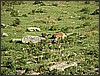IMG_0193.JPG(143 KB)