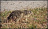IMG_0194.jpg(97,7 KB)
