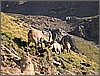 DSCN2290.JPG(119 KB)