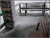DSCN2331.JPG(88,6 KB)