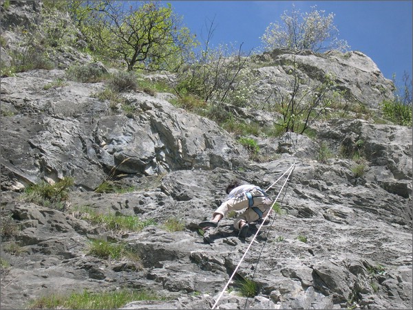 DSCN1368.JPG (135 KB)