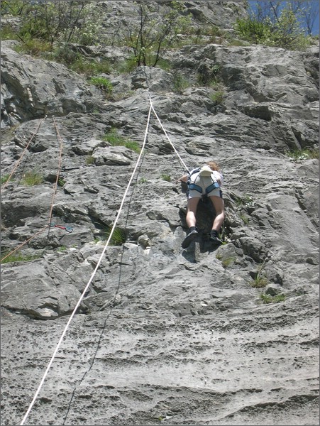 DSCN1373.jpg (136 KB)