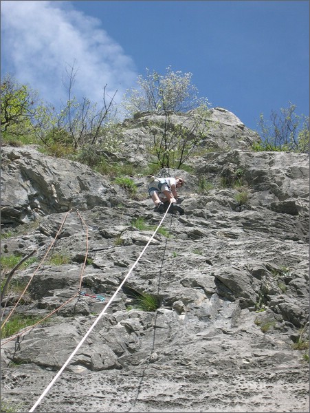 DSCN1375.jpg (117 KB)