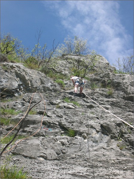 DSCN1376.jpg (116 KB)