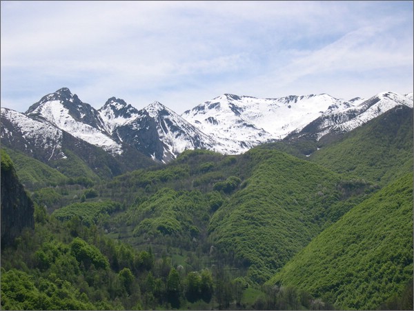 DSCN1384.JPG (80,0 KB)