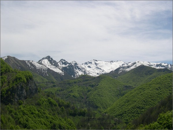 DSCN1390.JPG (64,7 KB)