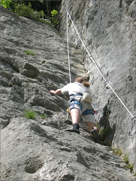 DSCN1396.jpg (131 KB)