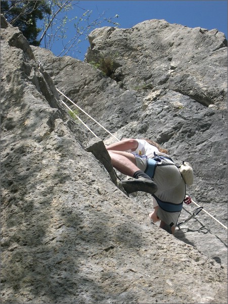 DSCN1399.jpg (126 KB)