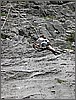 DSCN1371.jpg(127 KB)