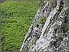 DSCN1379.JPG(137 KB)