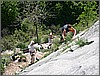 DSCN1386.JPG(119 KB)
