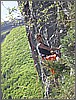 DSCN1391.jpg(133 KB)