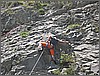 DSCN1395.JPG(125 KB)