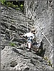 DSCN1396.jpg(131 KB)