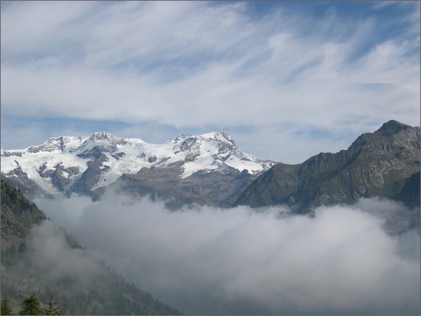 DSCN1955.JPG (44,2 KB)