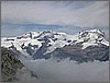 rosa.jpg(50,1 KB)