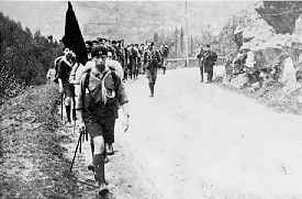 In the scouts