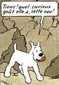Milú