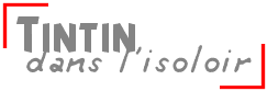 Tintin dans l'isoloir